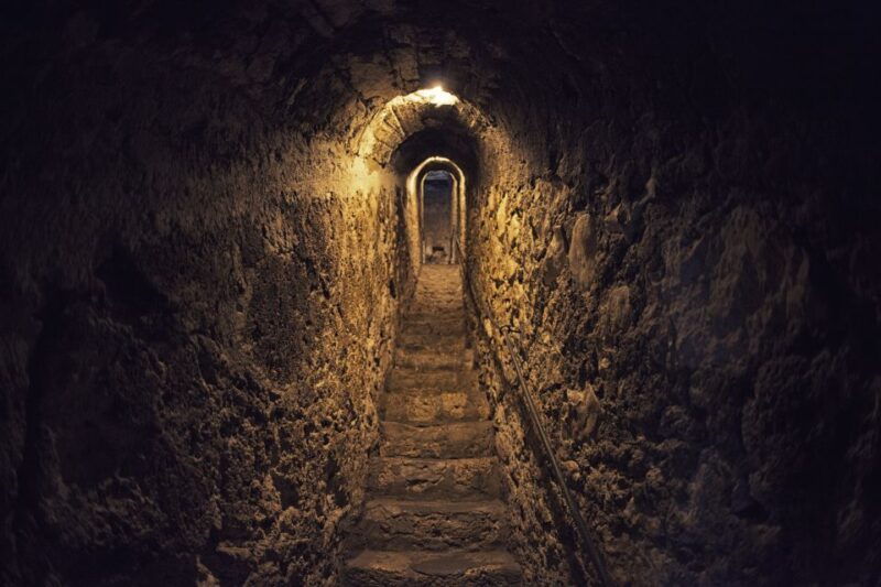 Bucharest: Dracula Castle, Peles Castle & Brasov Guided Tour - Deep Dive Into the Day