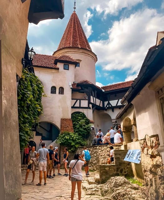 Bucharest: Draculas Castle and Dino Park Day Tour - Itinerary Details
