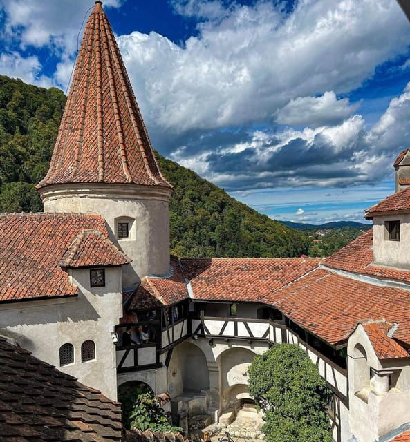 Bucharest: Draculas Castle and Dino Park Day Tour - Inclusions and Amenities