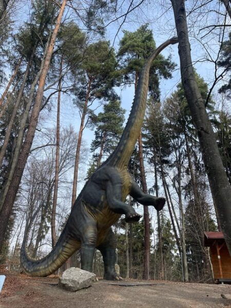 Bucharest: Draculas Castle and Dino Park Day Tour - Travel Tips and Recommendations