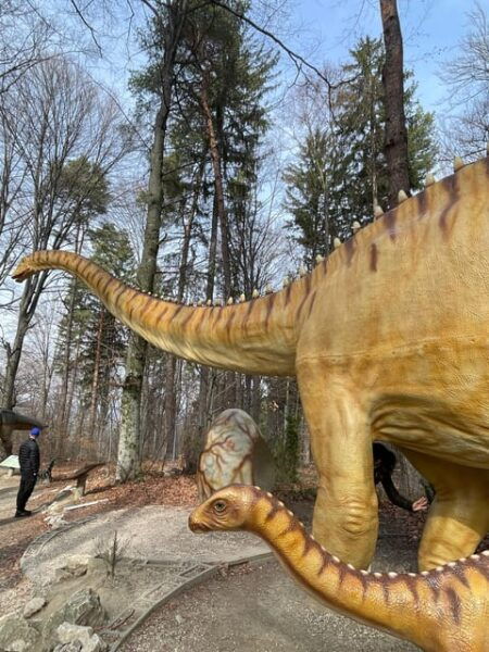 Bucharest: Draculas Castle and Dino Park Day Tour - Frequently Asked Questions