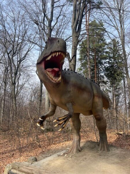 Bucharest: Draculas Castle and Dino Park Day Tour - The Sum Up