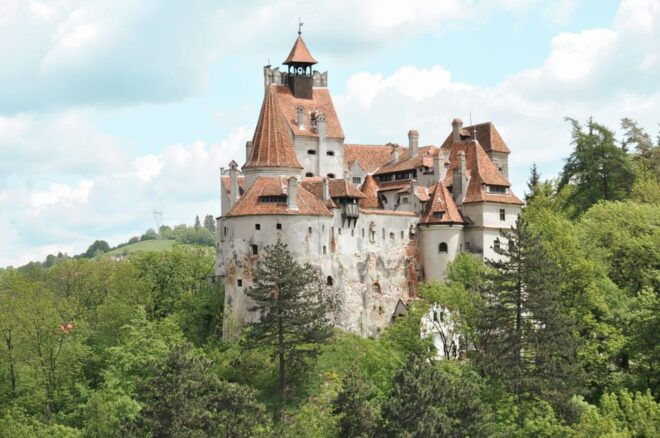 Bucharest: Dracula's Castle, Peles Castle & Brasov Day Trip - Customer Reviews
