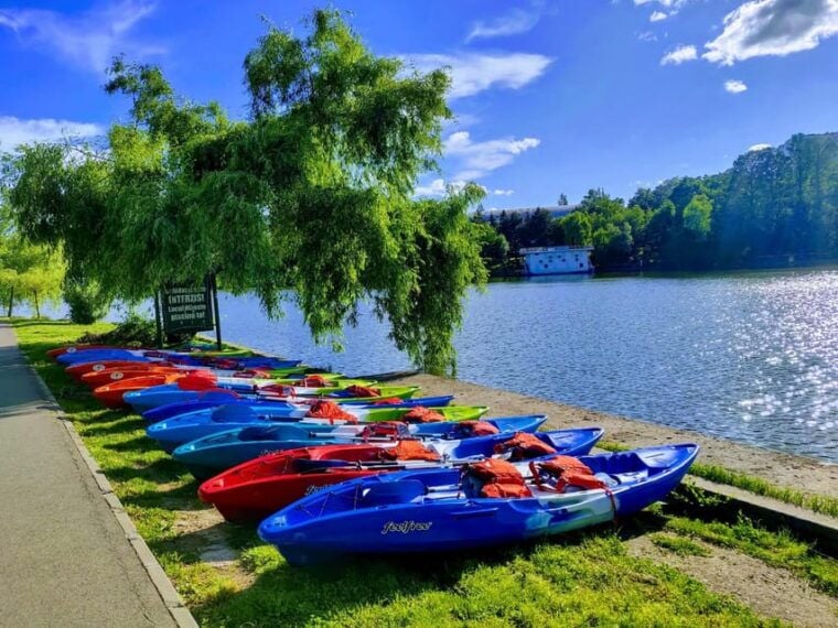 Bucharest: Guided Kayaking Tour in Herastrau Park - Who This Tour Is Perfect For