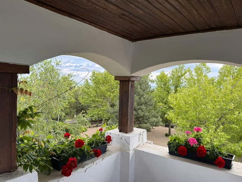 Bucharest: Half-Day Tour of Dealu Mare Wineries - Good To Know