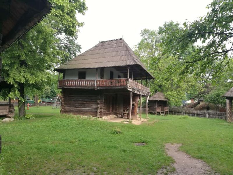 Bucharest: Hop-on Hop-off minibus & Village Museum visit - Authentic Insights from Reviewers