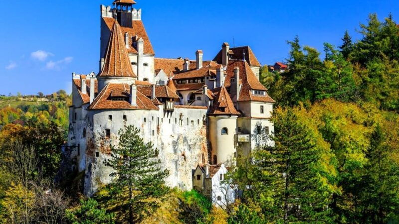 Bucharest: Pele Castle, Dracula Castle, and Braov Day Trip - An In-Depth Look at the Tour Experience
