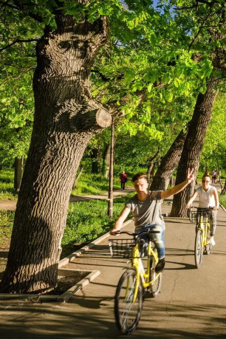 Bucharest: Personalised Walking Tour With a Local Guide - Included Services