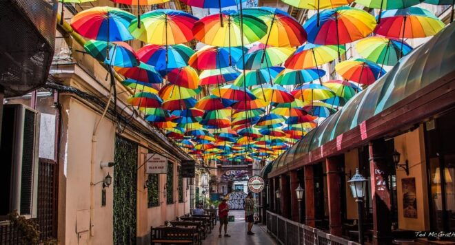 Bucharest: Private Walking Tour & Local Food Tasting - Important Information