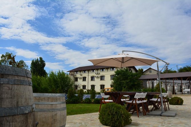 Bucharest Private Wine Tasting Tour on Dealu Mares Old Wine Road - Exclusive Services and Inclusions