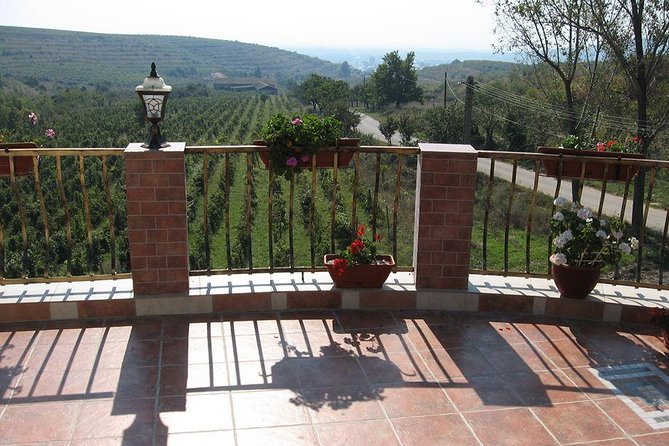 Bucharest Private Wine Tasting Tour on Dealu Mares Old Wine Road - The Sum Up