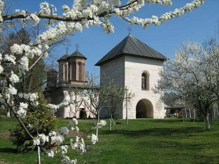 Bucharest: Slanic Salt Mine & Dracula' s Tomb - Private Tour - Why This Tour Is Worth It