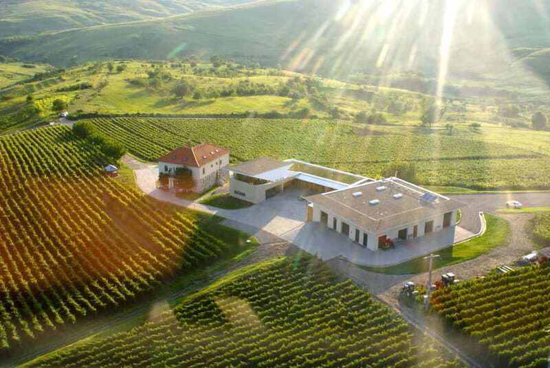 Bucharest: Taste the Magic of Wine in Romanias Tuscany - Good To Know