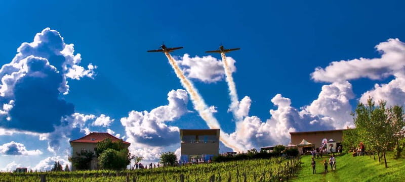 Bucharest: Taste the Magic of Wine in Romanias Tuscany - Exploring the Dealul Mare Wine Region