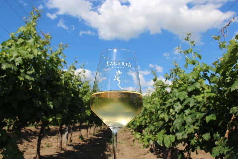 Bucharest: Taste the Magic of Wine in Romanias Tuscany - Good To Know