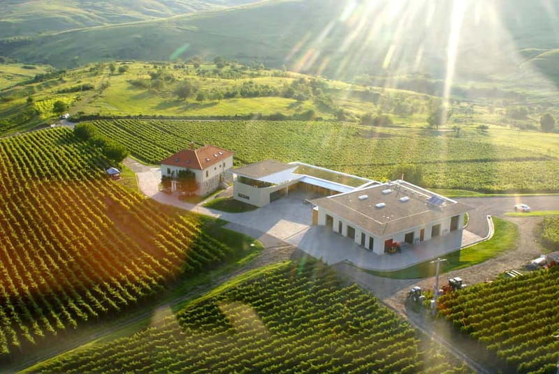 Bucharest: Taste the Magic of Wine in Romanias Tuscany - The Overall Experience