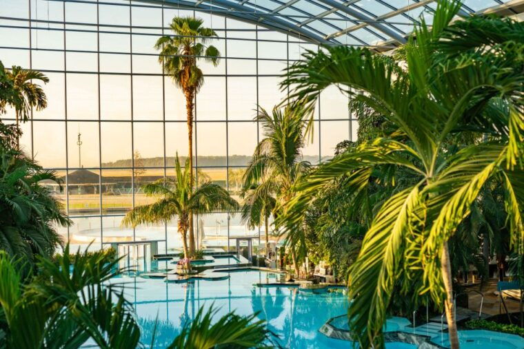 Bucharest: Therme Bucharest Entry Ticket and Transfer - Practical Tips for Your Visit