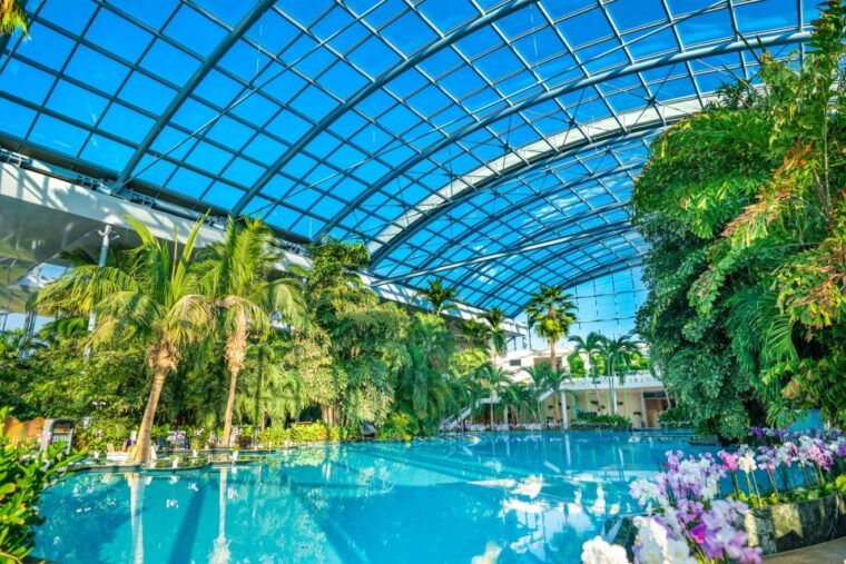 Bucharest: Therme Bucharest Entry Ticket and Transfer - Who is This Tour Best For?