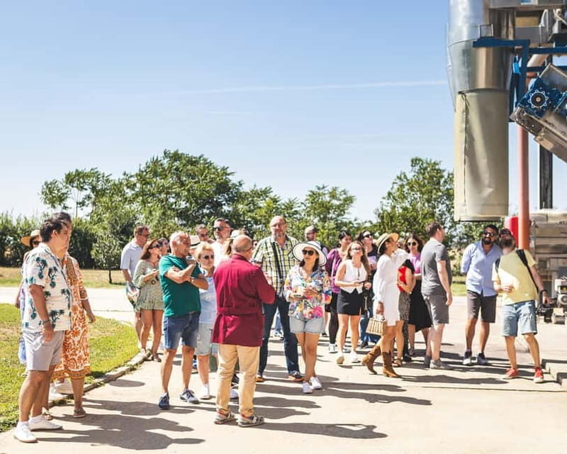 Bucharest: Tour The Wine Road, 2 Boutique Wineries in 1 Day - An In-Depth Look at the Tour Experience