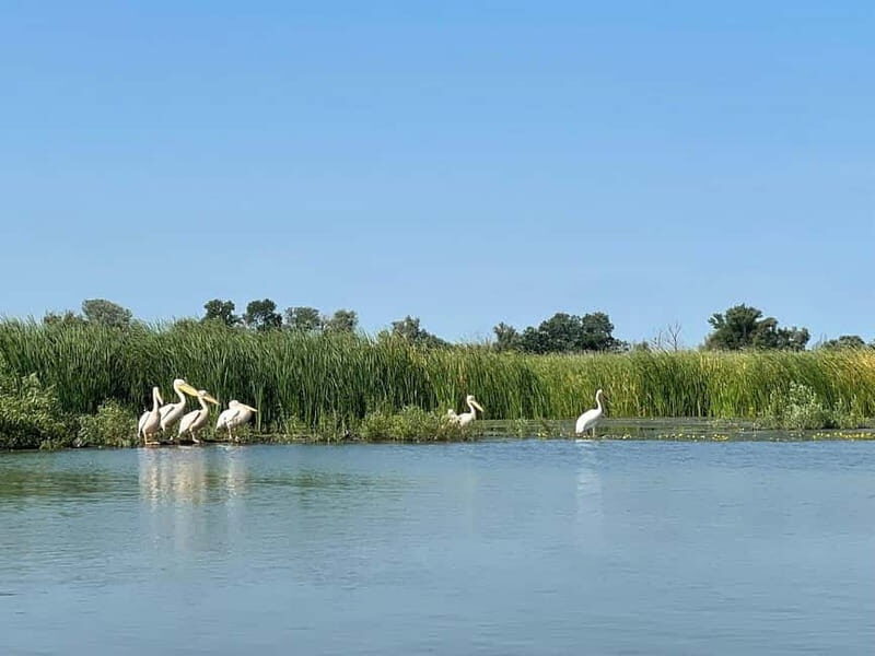 Bucharest: Tour to Danube Delta 2-Days With Boat Tour - Introduction to the Danube Delta Tour