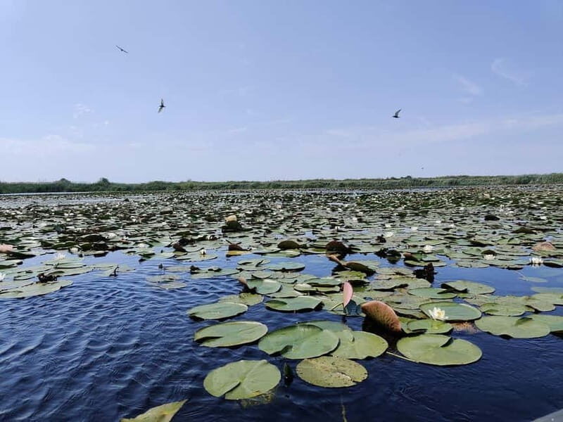 Bucharest: Tour to Danube Delta 2-Days With Boat Tour - FAQ