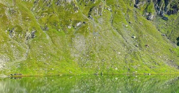 Bucharest: Transfagarasan Highway - Balea Lake Day Trip - Frequently Asked Questions