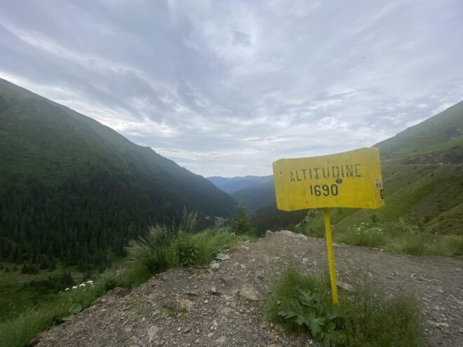 Bucharest: Transfagarasan Road, Famous & Spectacular - Wildlife Encounters