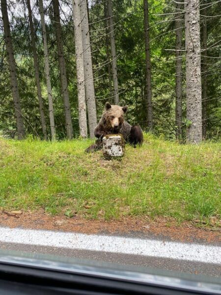 Bucharest: Transfagarasan Road, Famous & Spectacular - Frequently Asked Questions