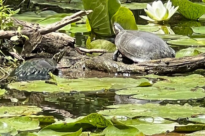 Buckhorn State Park Nature Hike, Kayaking Tour, and Fishing - Booking Confirmation Details