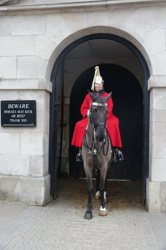 Buckingham Palace Changing of the Guard Tour - Practical Details Before You Book