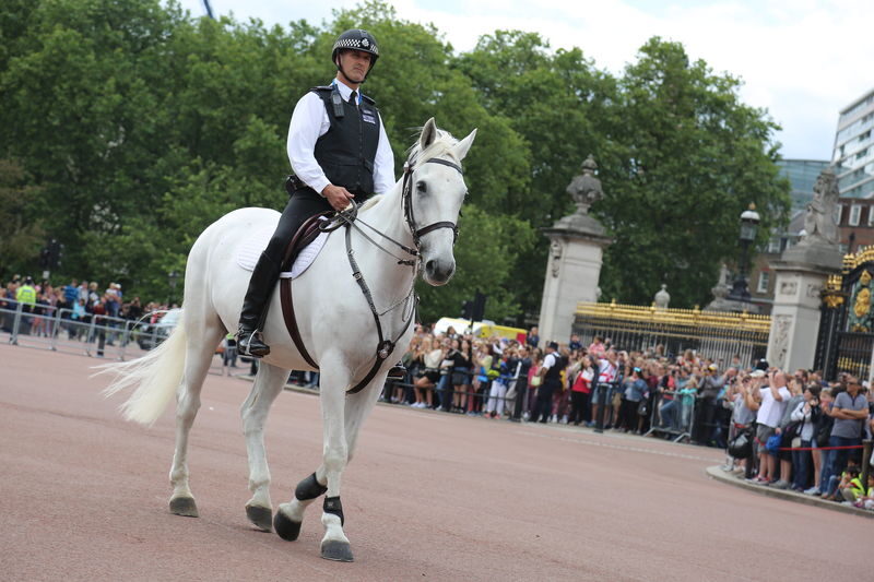 Buckingham Palace Changing of the Guard Tour - Should You Book the Changing of the Guard Tour?