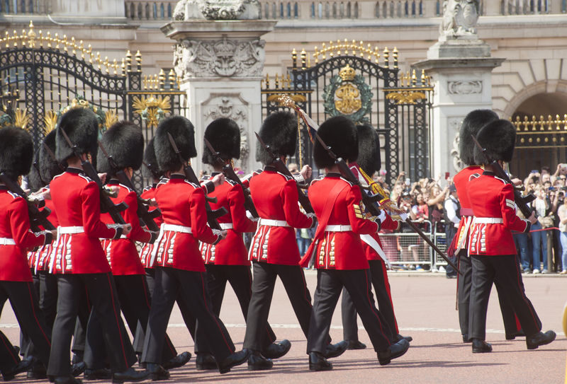 Buckingham Palace Changing of the Guard Walking Tour - From the Duke of York Column to the royal district