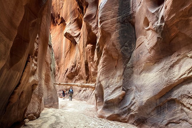 Buckskin Gulch Day Hike - Overview and Experience