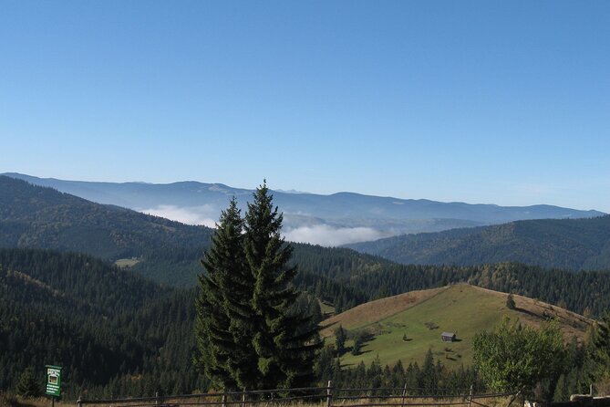 Bucovina Painted Monasteries Day Tour - Insider Tips