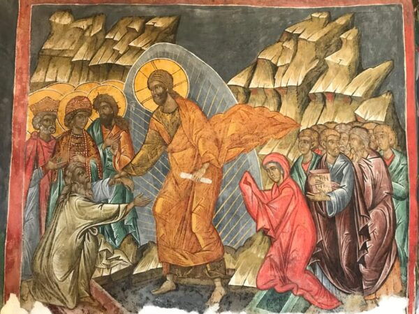 Bucovina Painted Monasteries Tour From Suceava/Gura Humor - The Sum Up