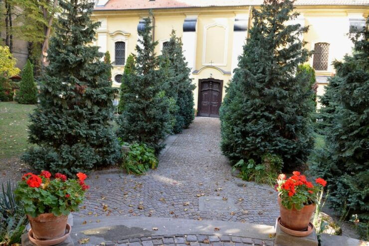 Budapest: 2.5-hour Hidden Sights Private Bike Tour - Key Points