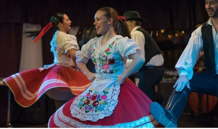 Budapest: 6-Course Dinner Cruise With Operetta and Folk Show - Experience Highlights