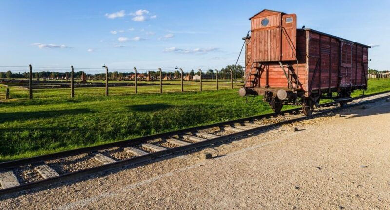 Budapest: Auschwitz Birkenau Private Day Tour - Arriving at Auschwitz Birkenau — What to Expect