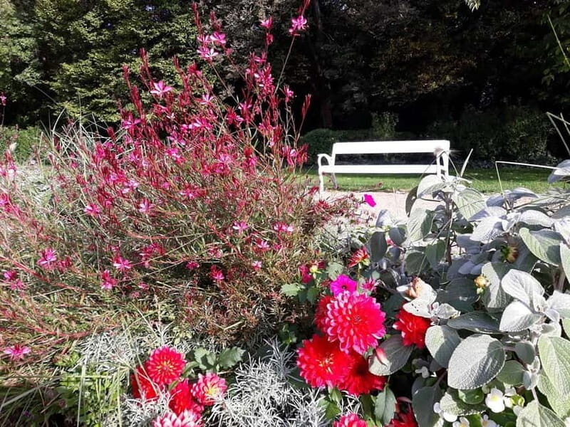 Budapest: Best Gardens Walking Tour & Hungarian Folk Music - Who Will Love This Tour?