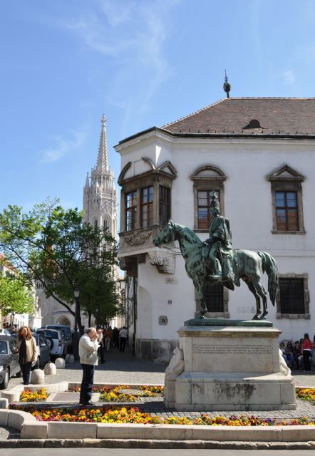 Budapest: Buda Castle Private Walking Tour - Activity Details