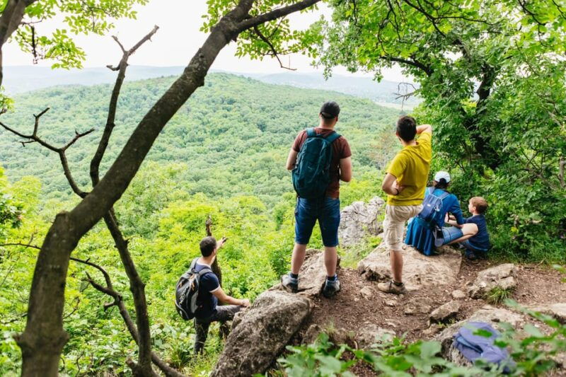 Budapest: Buda Hills Guided Hiking Tour with Optional Lunch - Good To Know