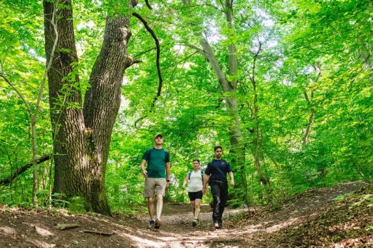 Budapest: Buda Hills Guided Hiking Tour with Optional Lunch - Hidden Treasures: Caves and Scenic Spots