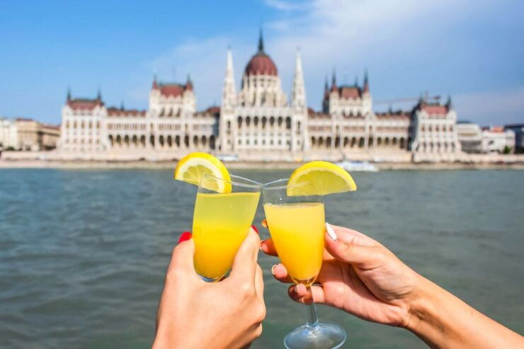 Budapest: Daytime Sightseeing Boat Cruise - Cruise Experience