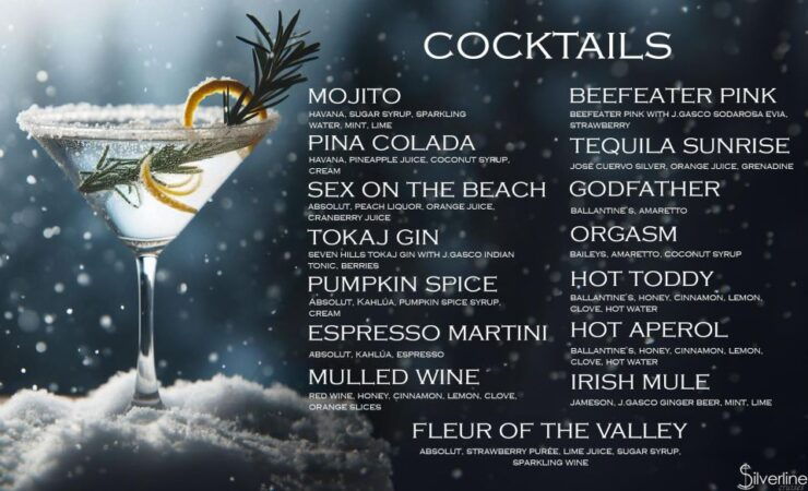 Budapest: Downtown Budapest Cocktail Cruise Winter Edition - Winter Weather Considerations