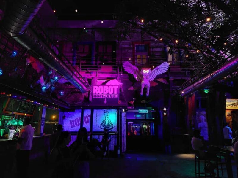 Budapest: Explore Iconic Bars on a Guided Ruin Bar Walk - What You’ll Experience on the Tour