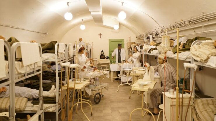 Budapest: Guided Tour to the Hospital in the Rock & Castle - Historical Sites Visited