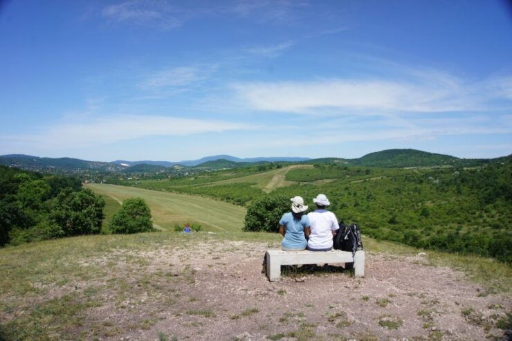 Budapest: Hiking Tour in the Buda Hills - Activity Details