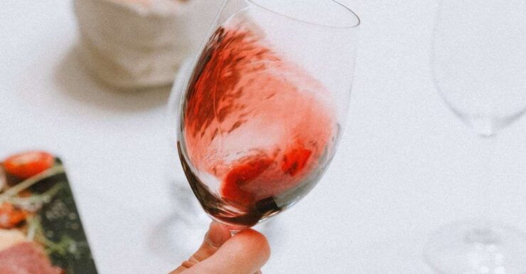Budapest: Hungarian Wine & Food Tasting Experience - Booking and Logistics