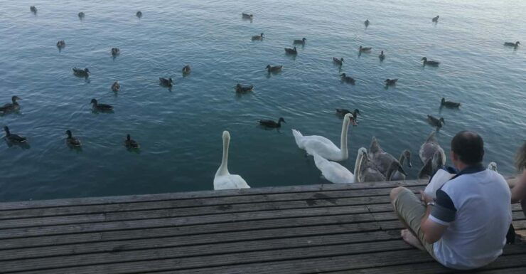 Budapest: Lake Balaton & Herend Porcelain Private Day Tour - Inclusions and Amenities