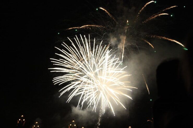 Budapest: New Year'S Eve Boat Cruise With Unlimited Drinks - Experience Highlights